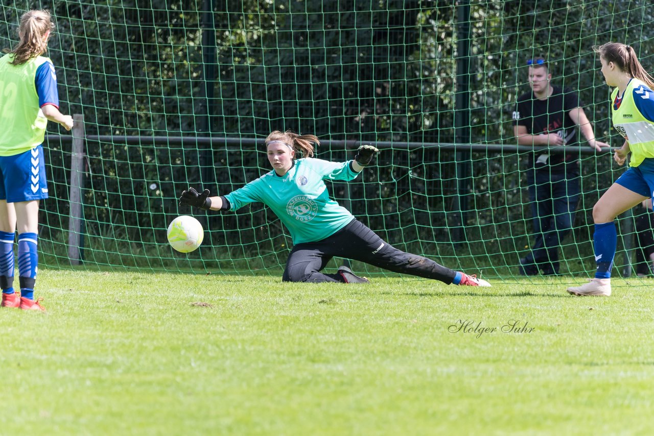 Bild 270 - B-Juniorinnen VfL Pinneberg - HSV : Ergebnis: 1:4